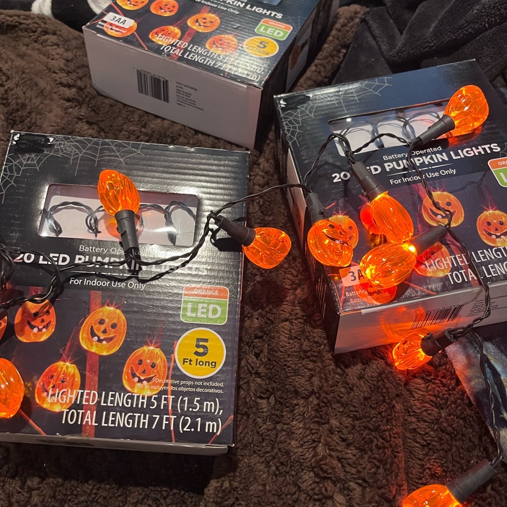 20 LED Pumpkin Lights (5 Feet Long)